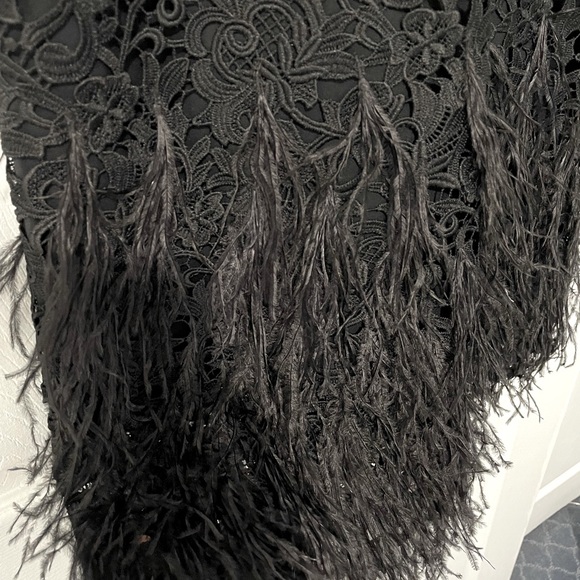 Elie Tahari dress with feathers - Picture 3 of 4